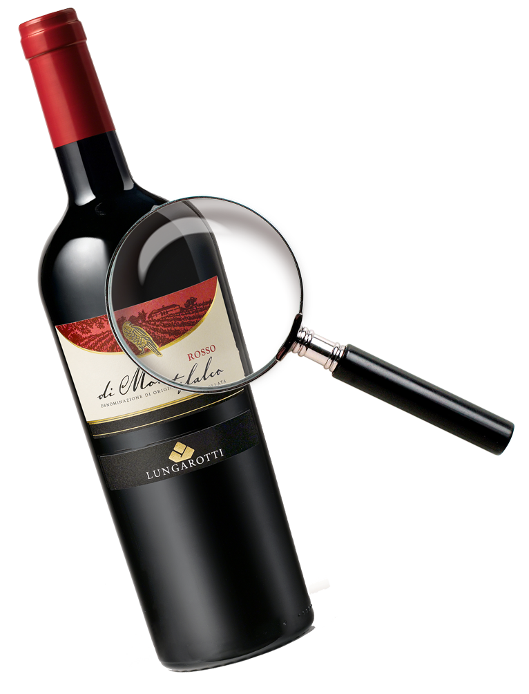 Wine Search